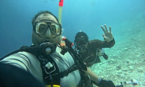 photo1709329677 (12)