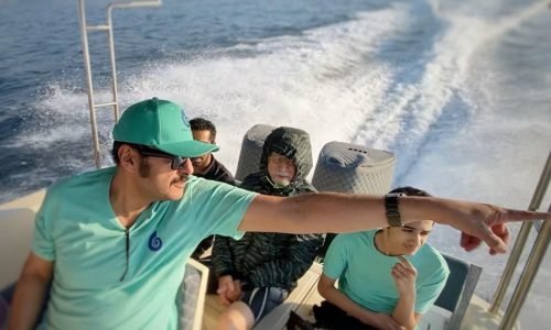 photo1709329677 (14)